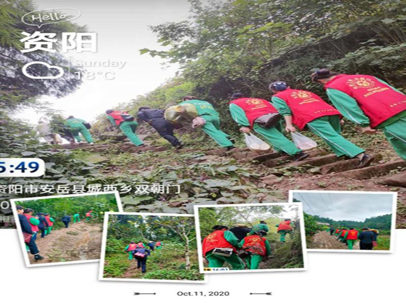 信泰志愿服務隊，有你們在，他們不孤單！